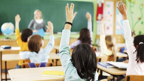 Proceso de escolarización
