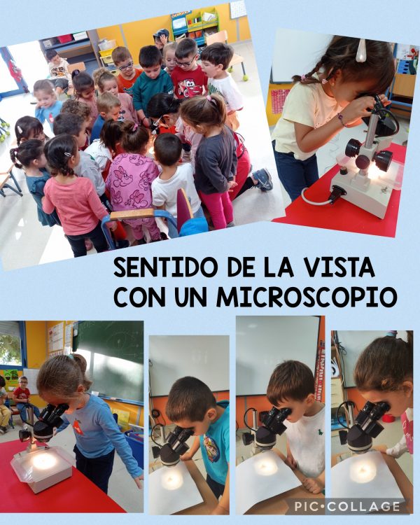 Un microscopio en Infantil 4 años.