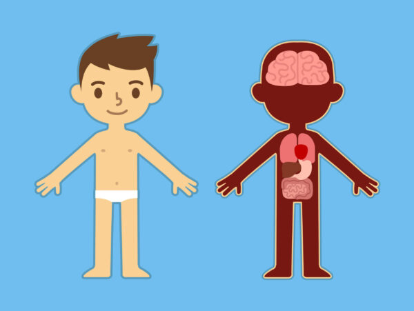 Proyecto El Cuerpo.