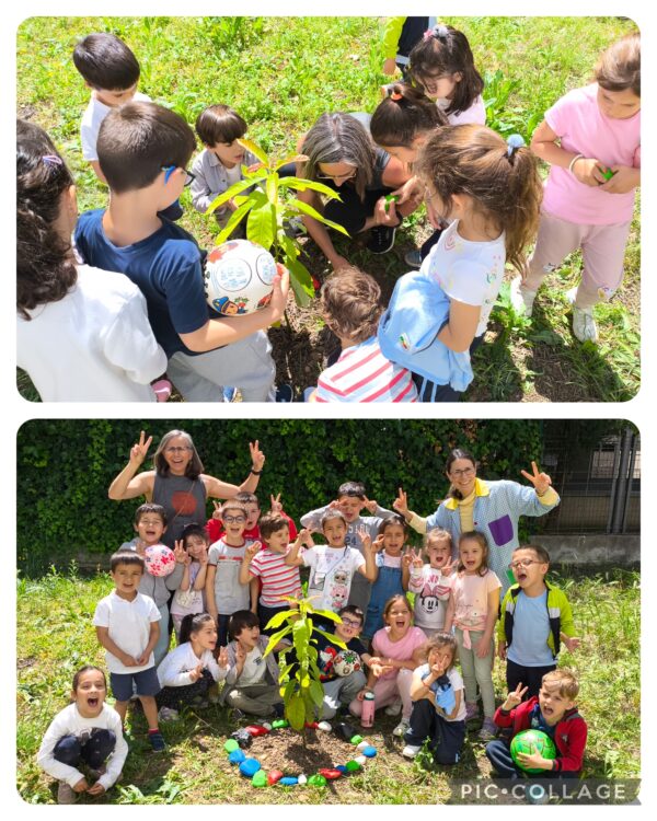 Plantamos un aguacate en el colegio.